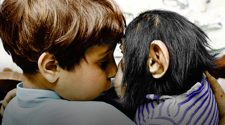 My Chimp & Me Season 1